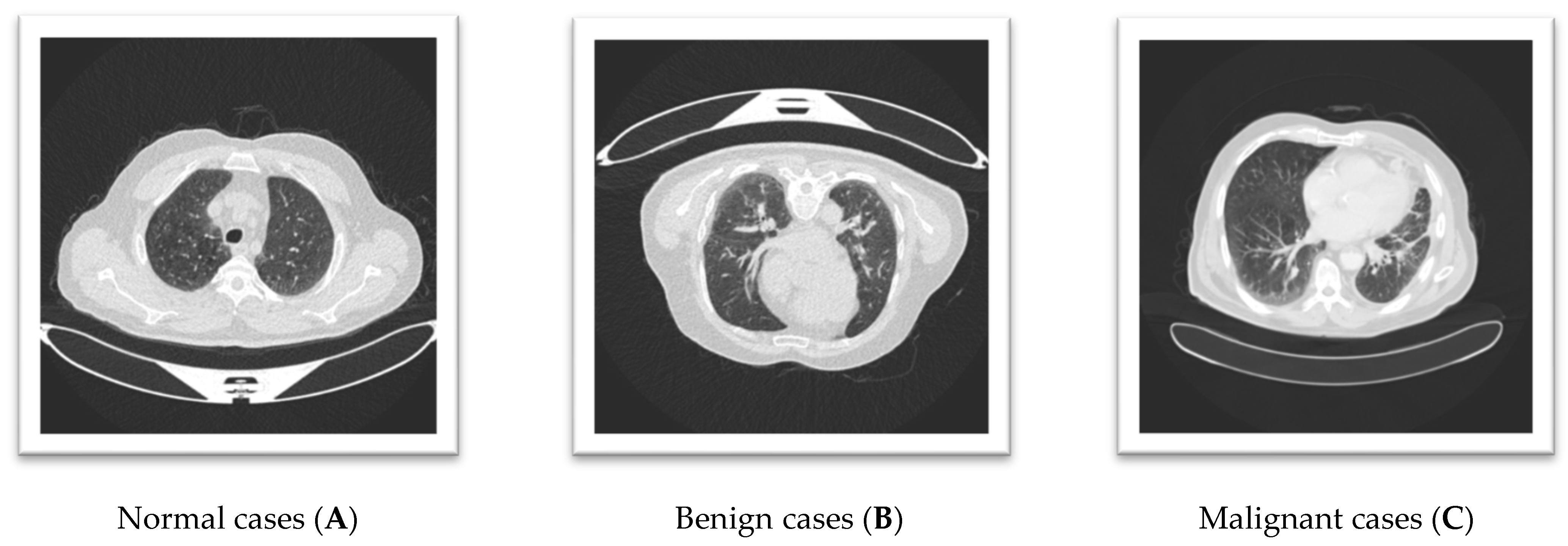Informatics 12 00018 g001