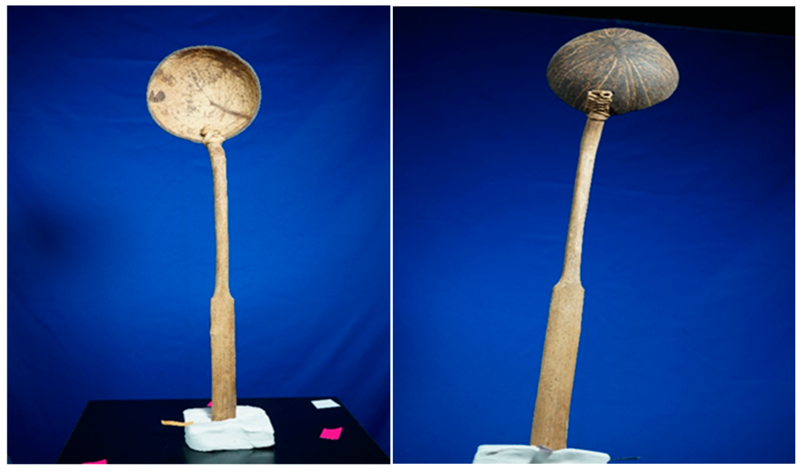 Informatics 12 00037 g002