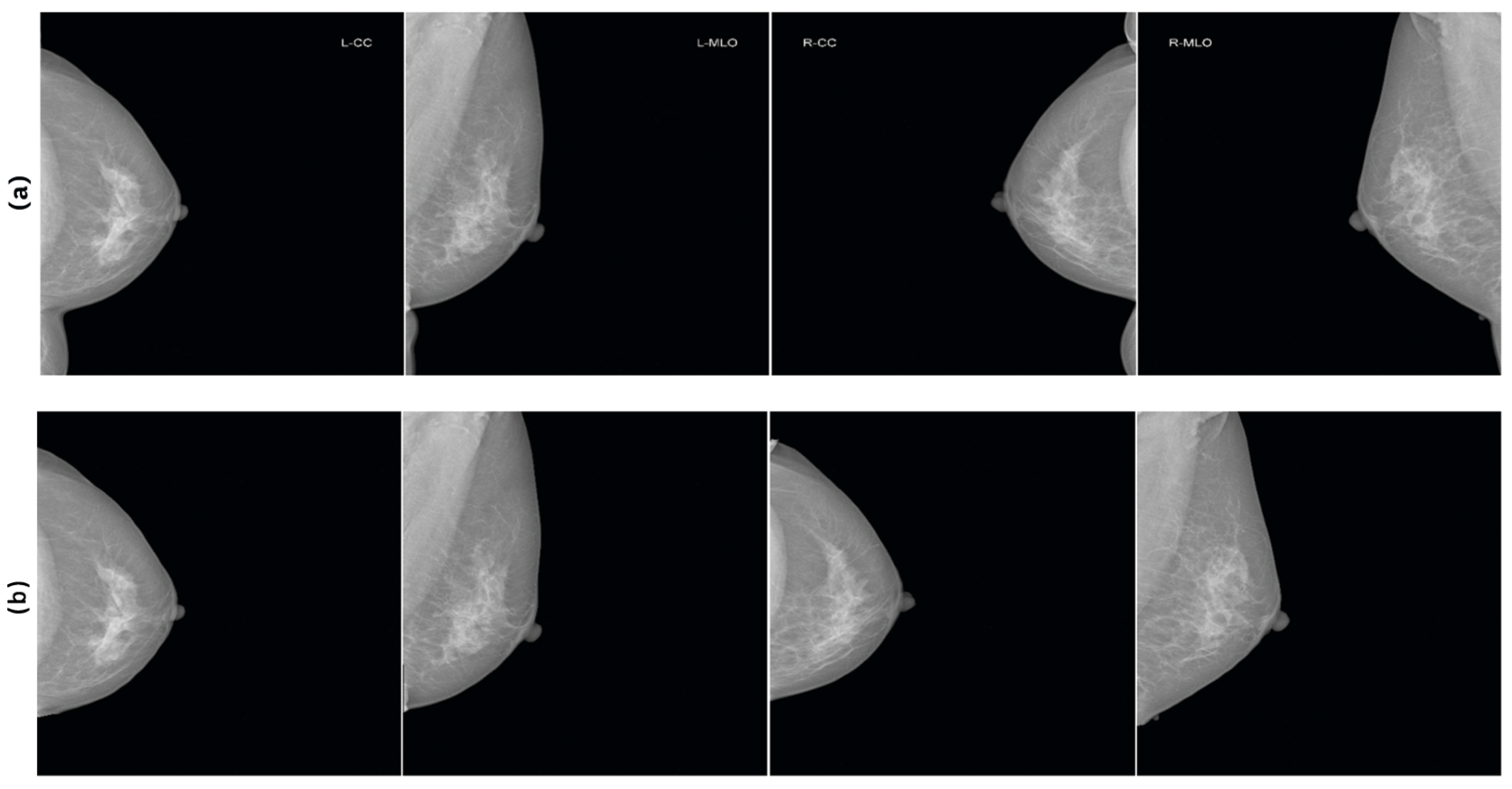 Informatics 12 00112 g002