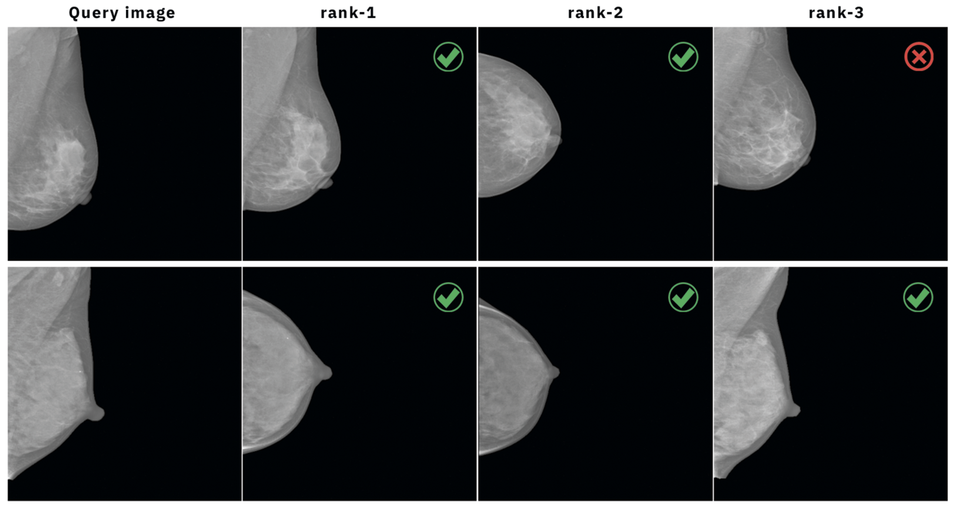 Informatics 12 00112 g003