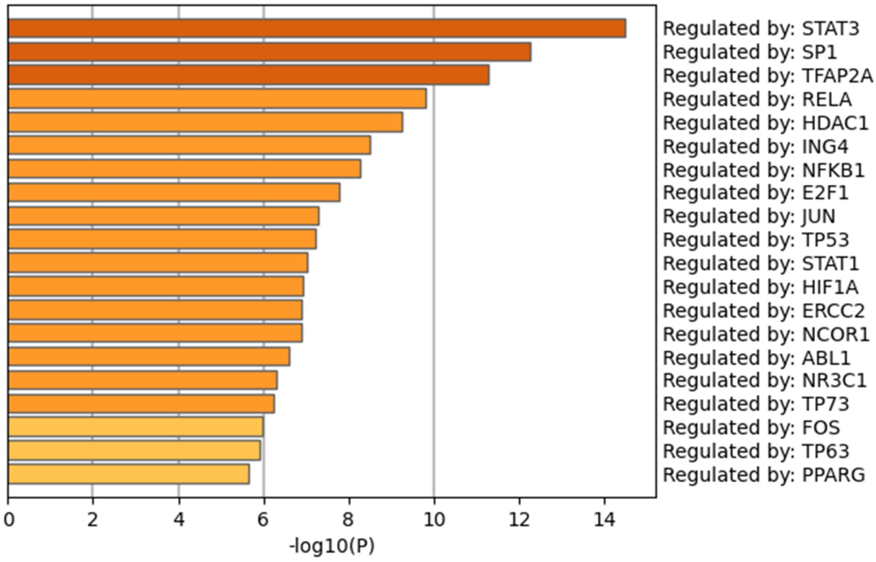 Informatics 12 00116 g007