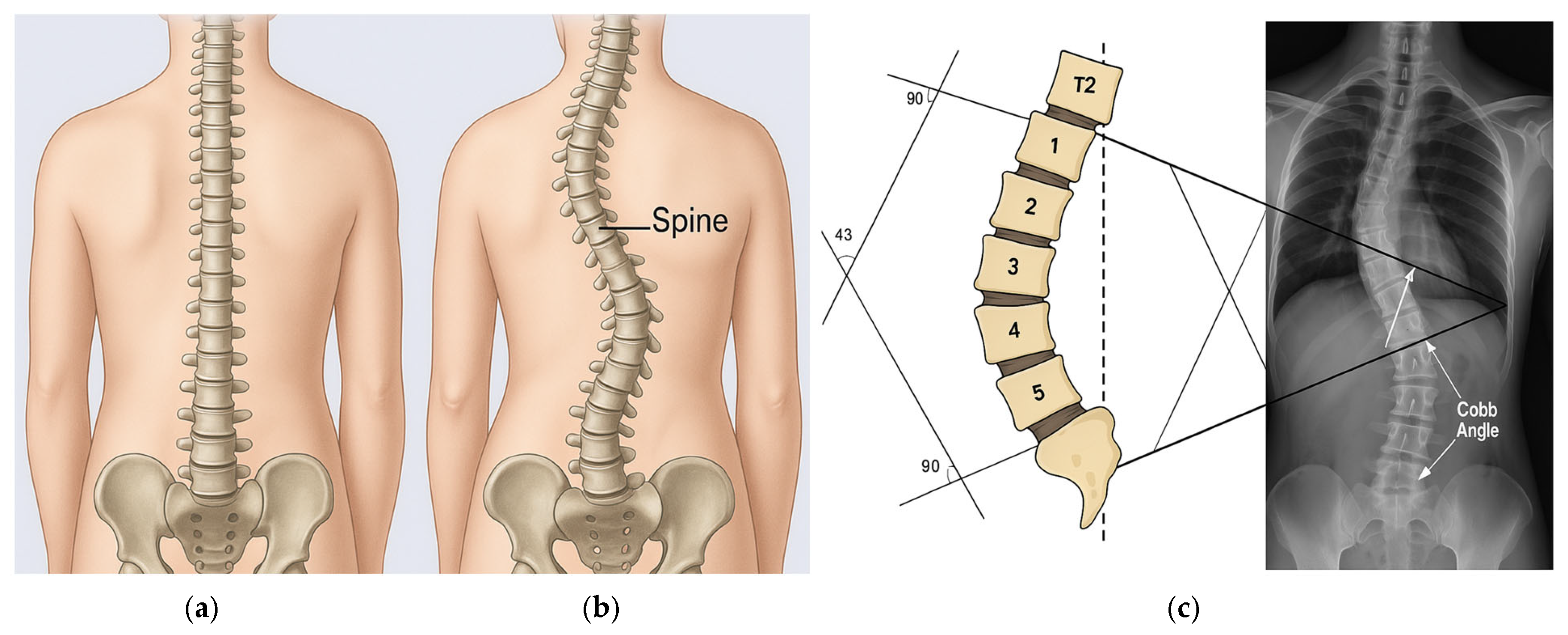 Informatics 12 00140 g001 Informatics 12 00140 g001