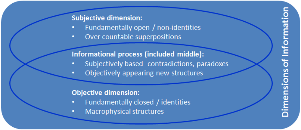 Information 03 00151 g001