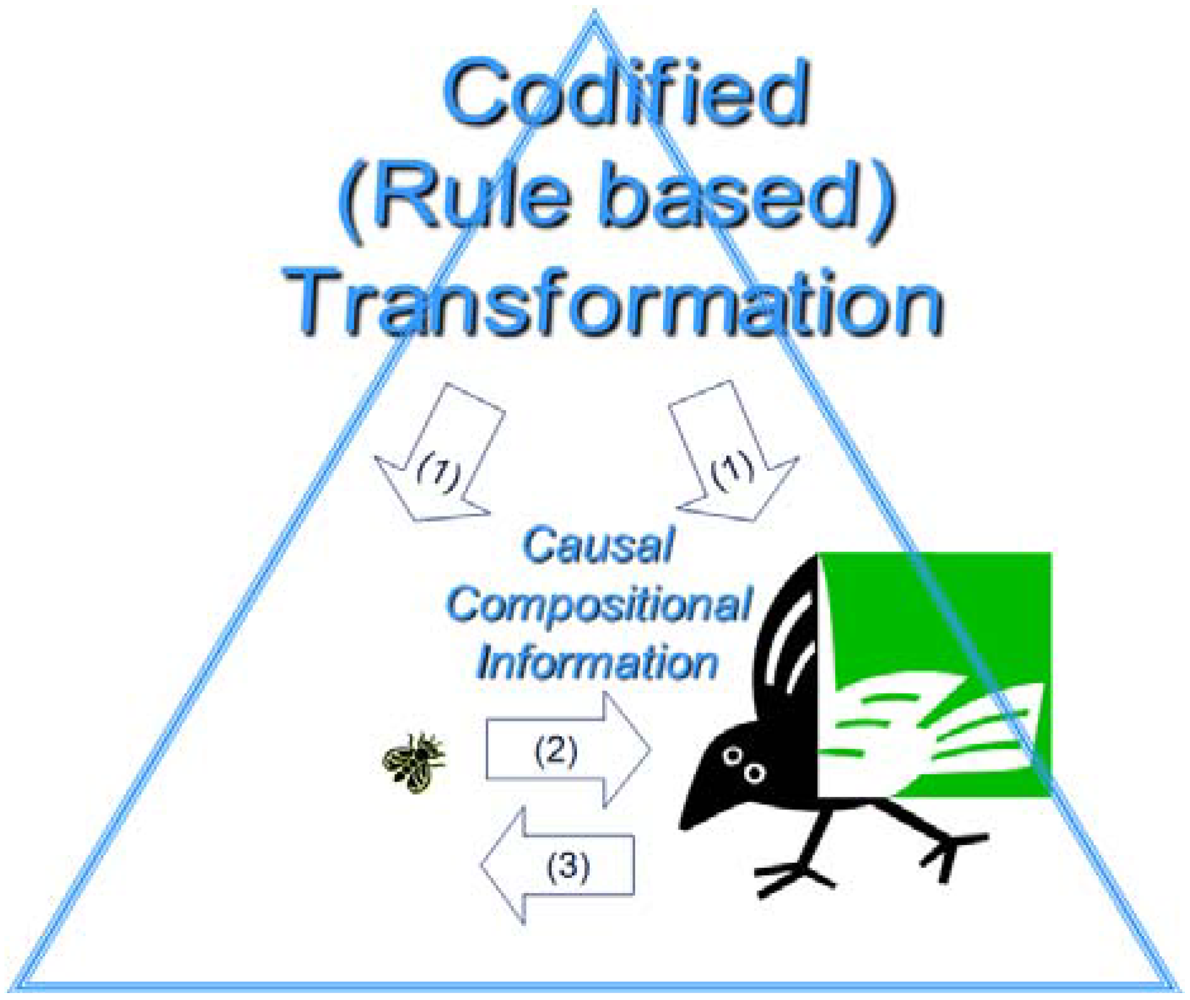 Information 03 00151 g004