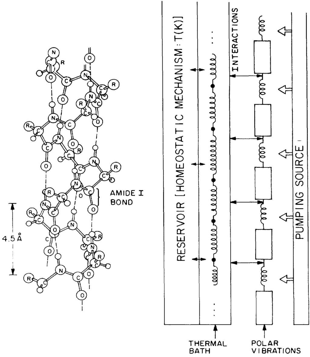 Information 03 00601 g001 1024