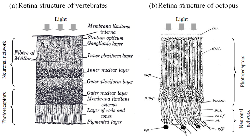 Information 04 00240 g002 1024