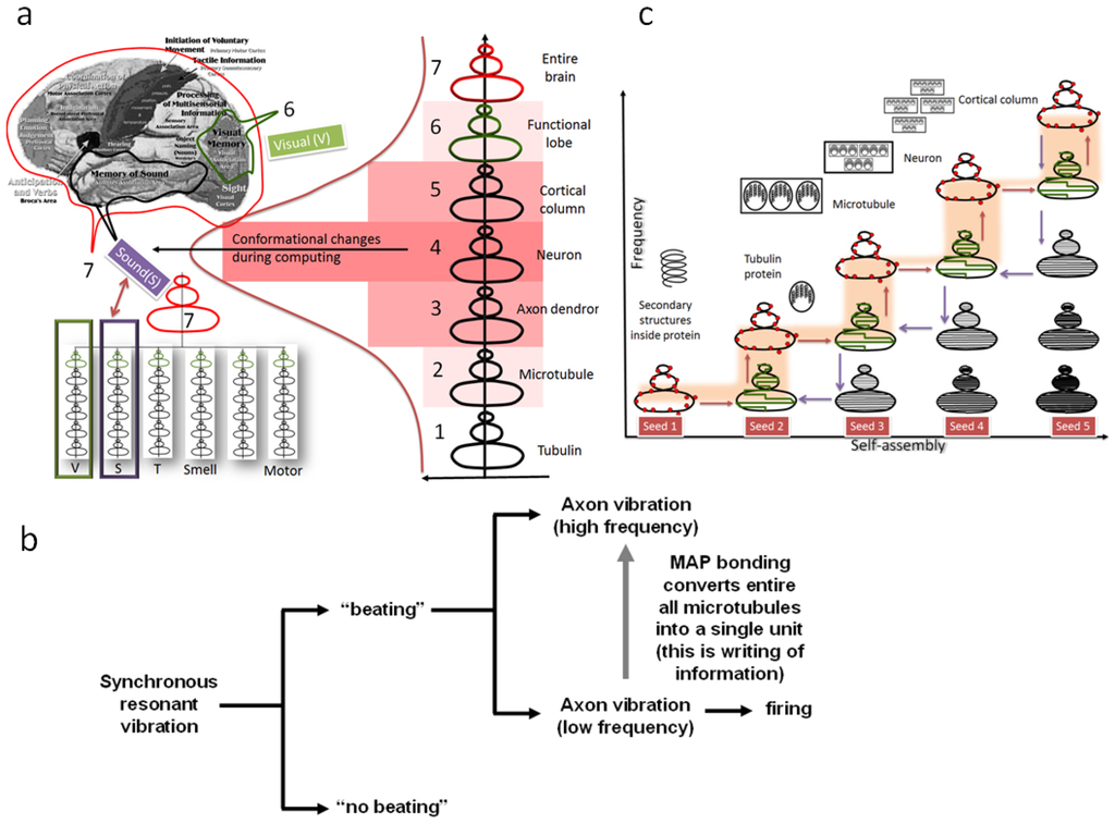 Information 05 00028 g016 1024