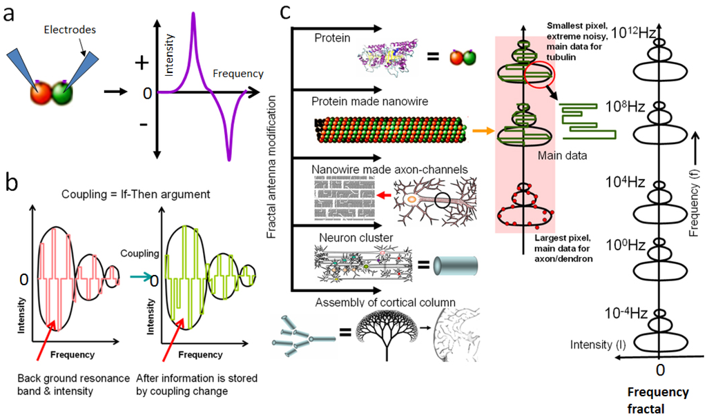Information 05 00028 g017 1024