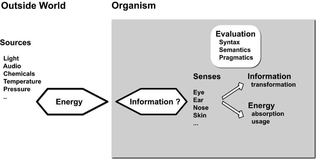 Information 06 00411 g001 1024