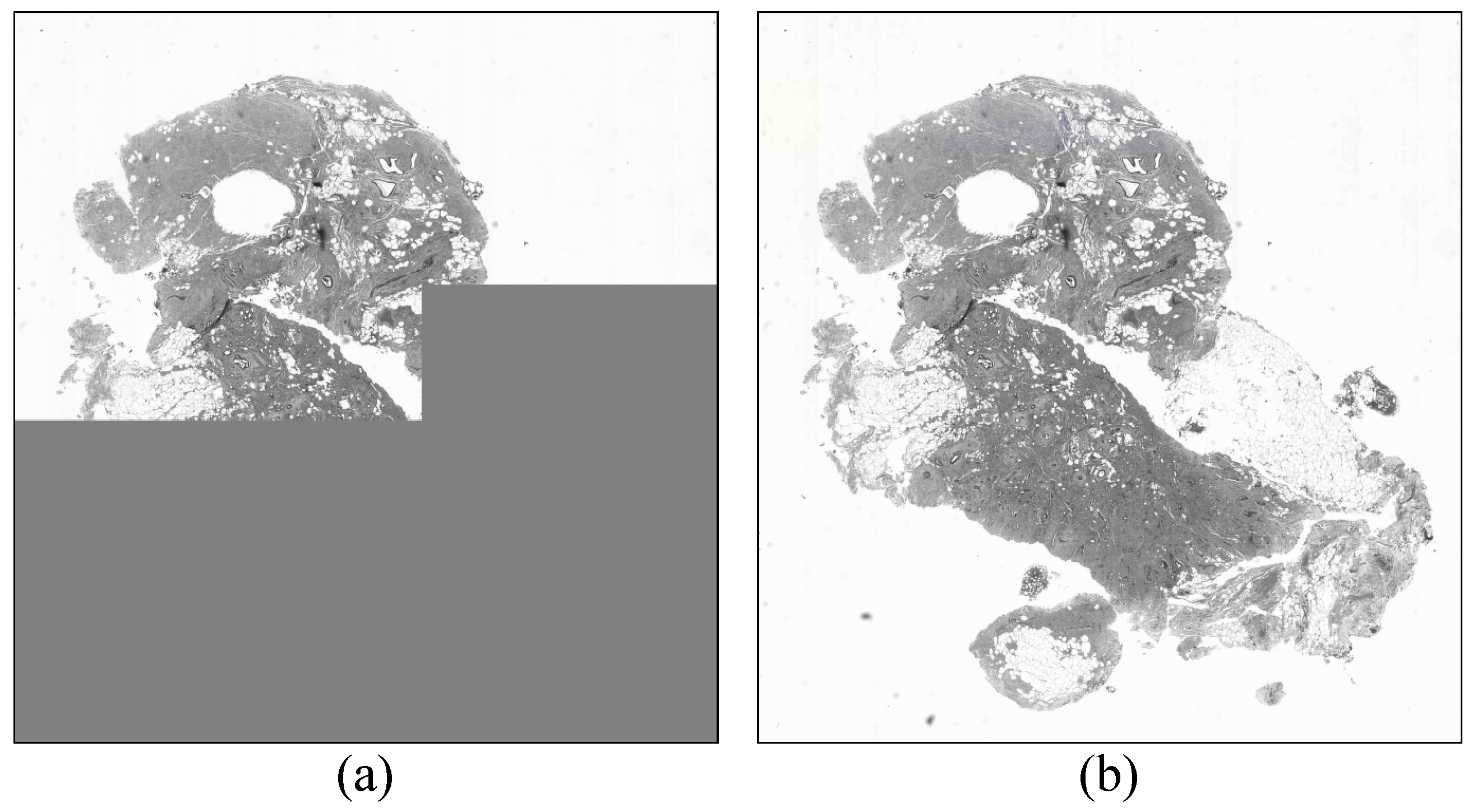 Information 07 00045 g008