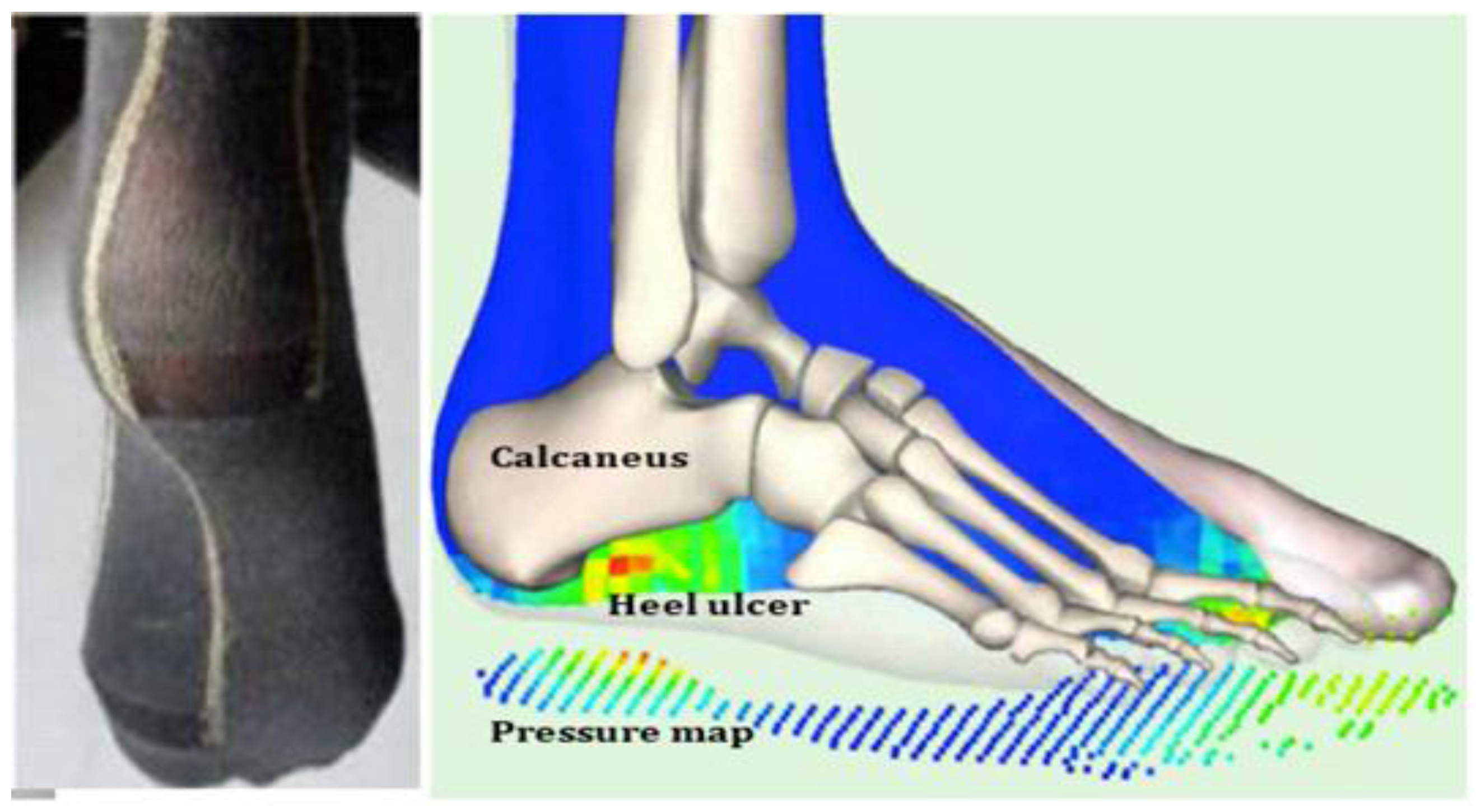 Information 07 00050 g011