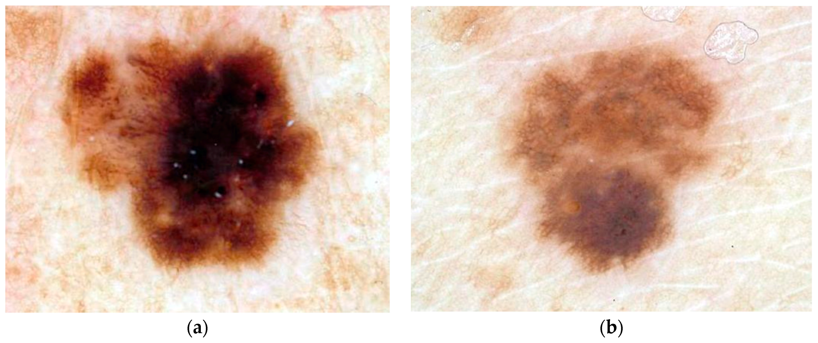 Information 08 00089 g001