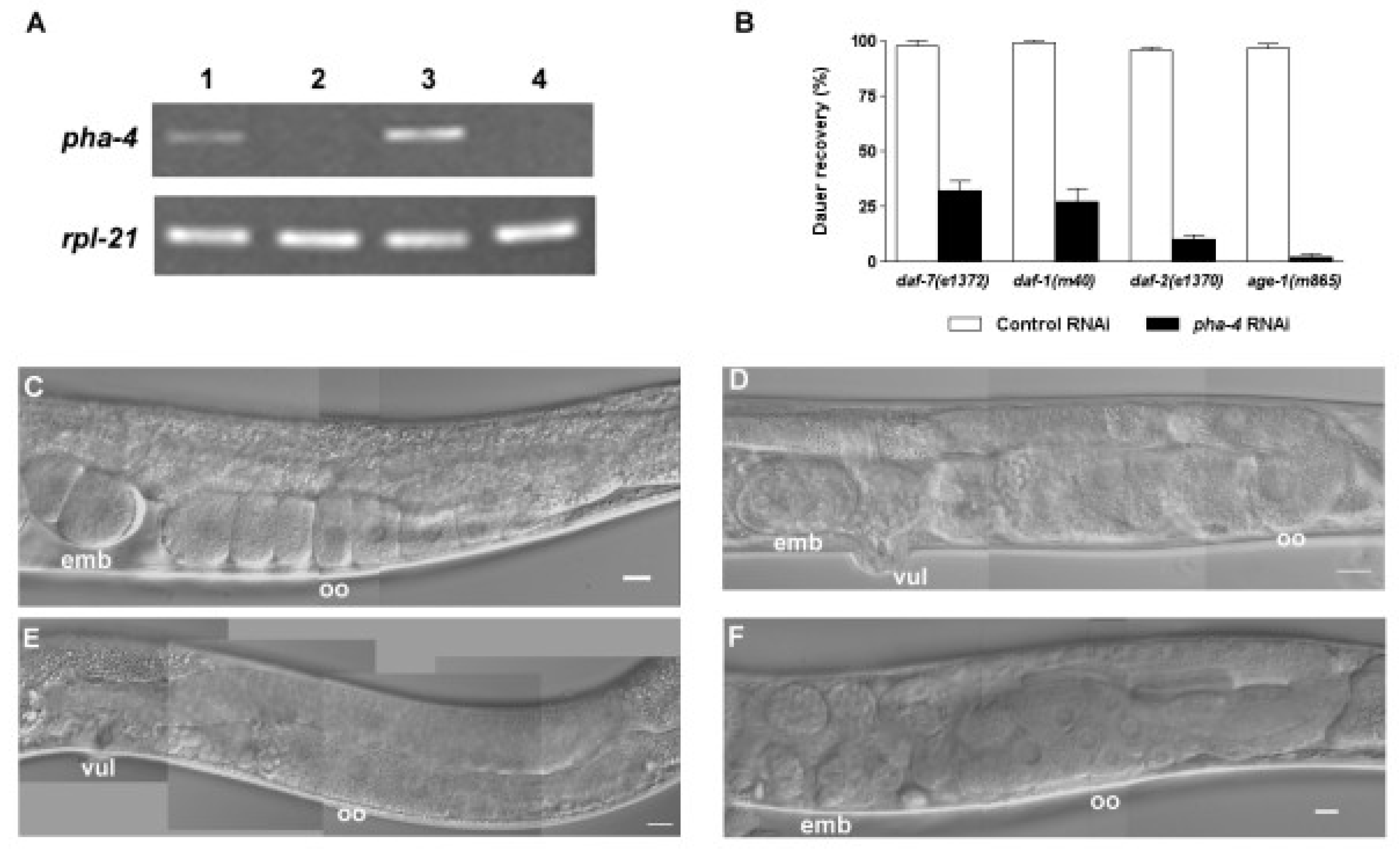 Information 08 00091 g002
