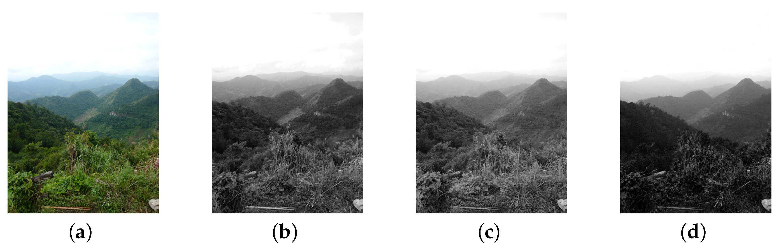 Information 08 00096 g006