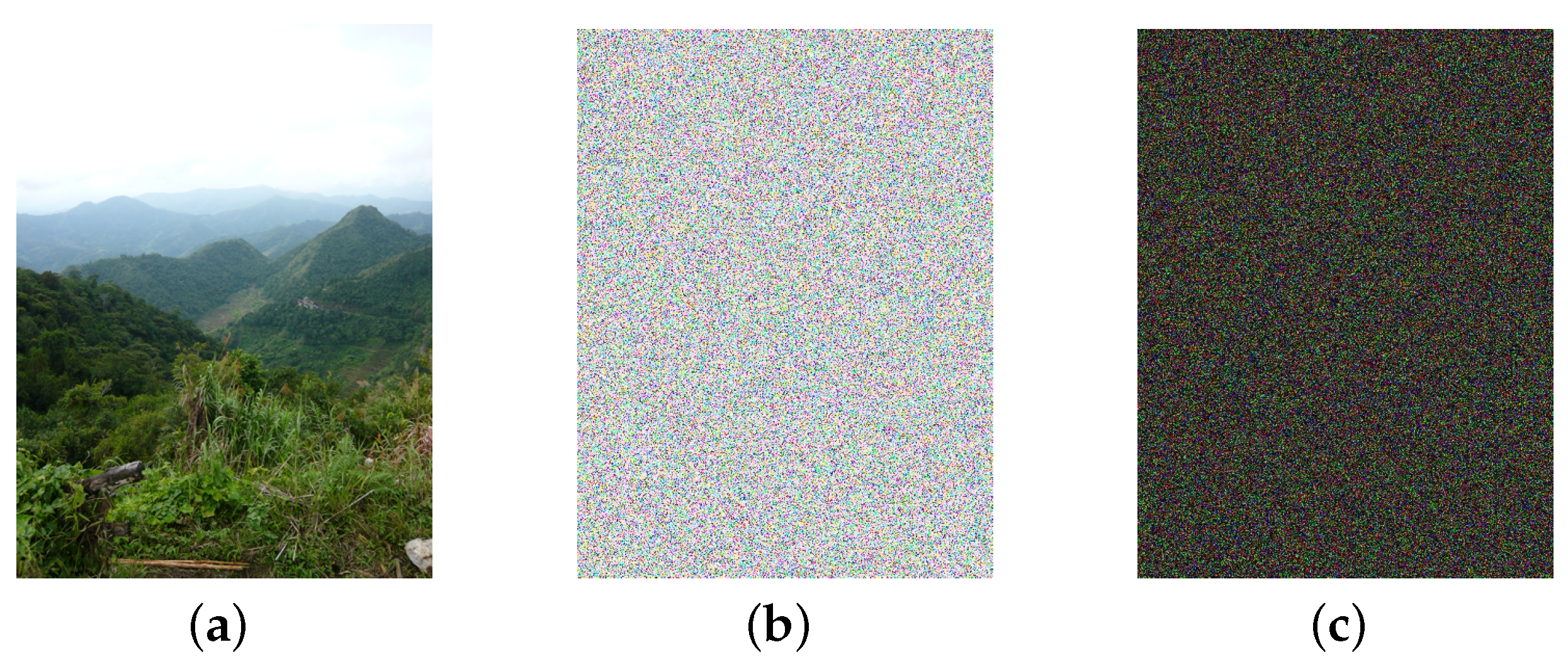 Information 08 00096 g009