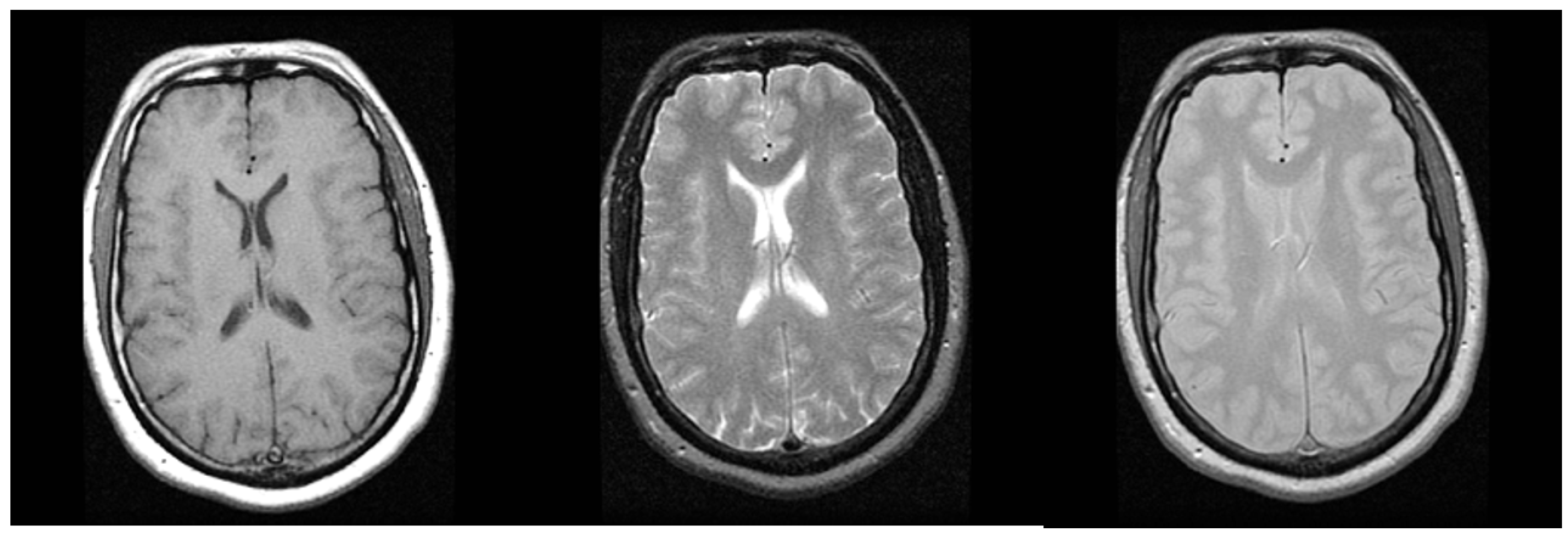 Information 08 00131 g002