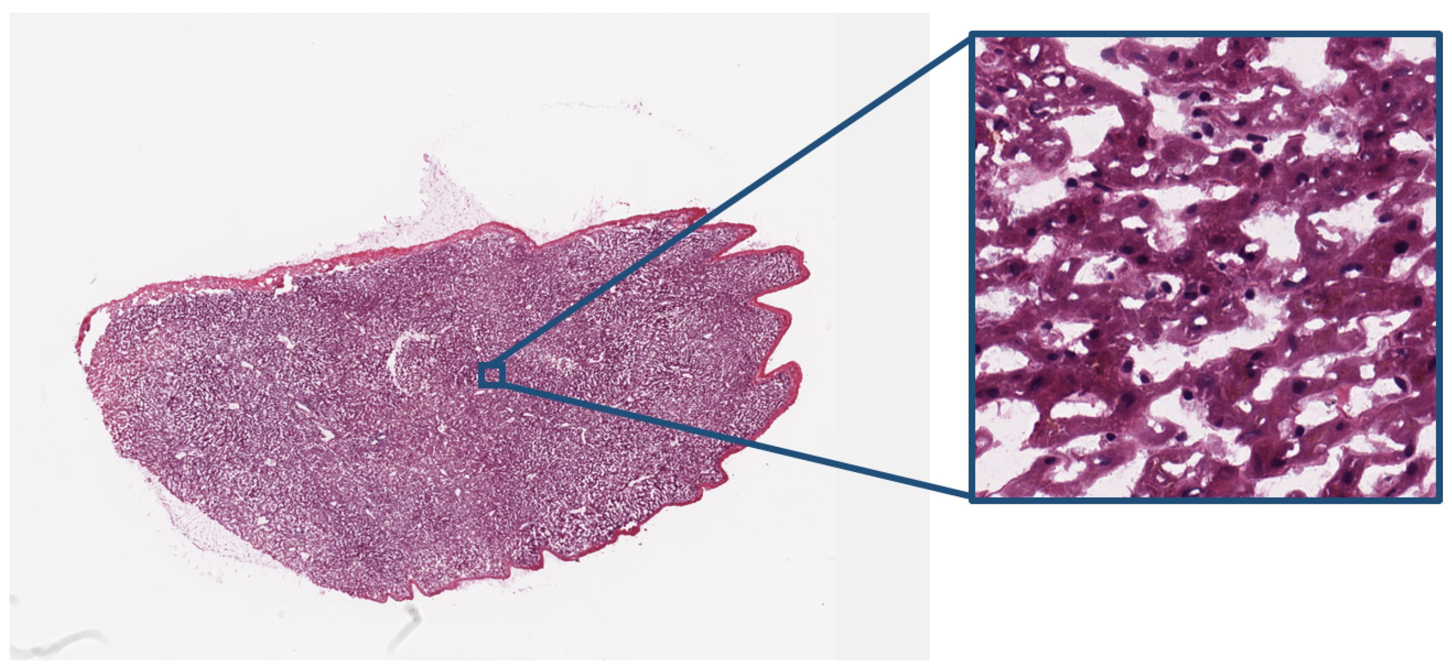 Information 08 00131 g003