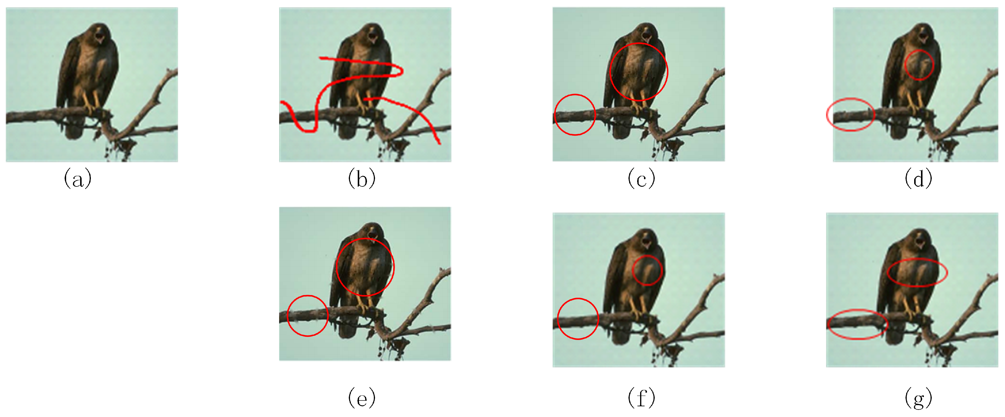 Information 09 00096 g012