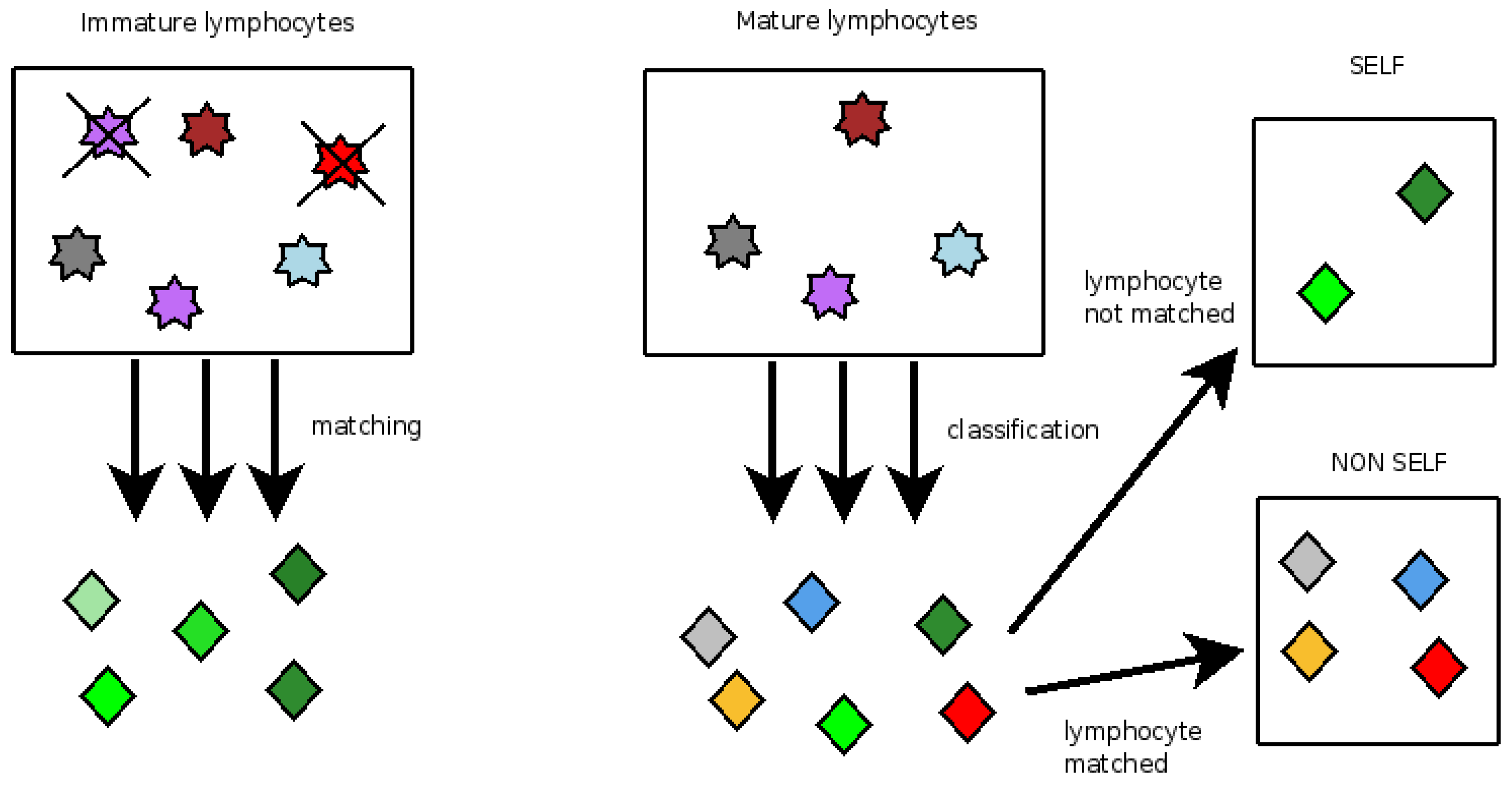 Information 10 00209 g001 Information 10 00209 g001