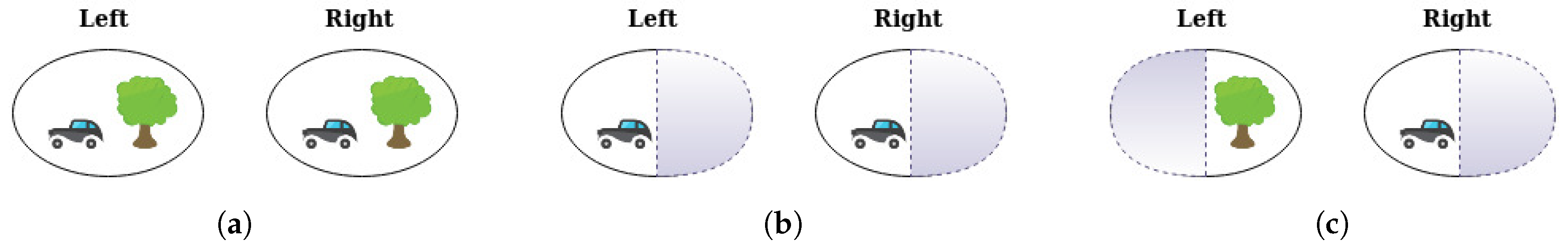 Information 11 00088 g001