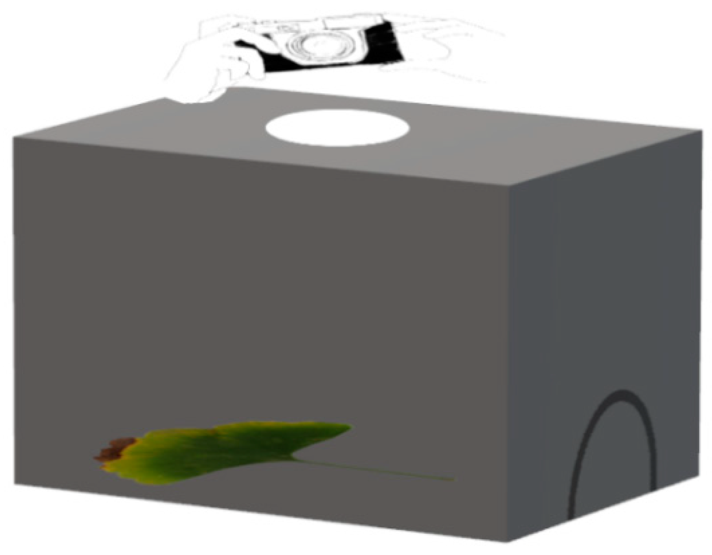 Information 11 00095 g001