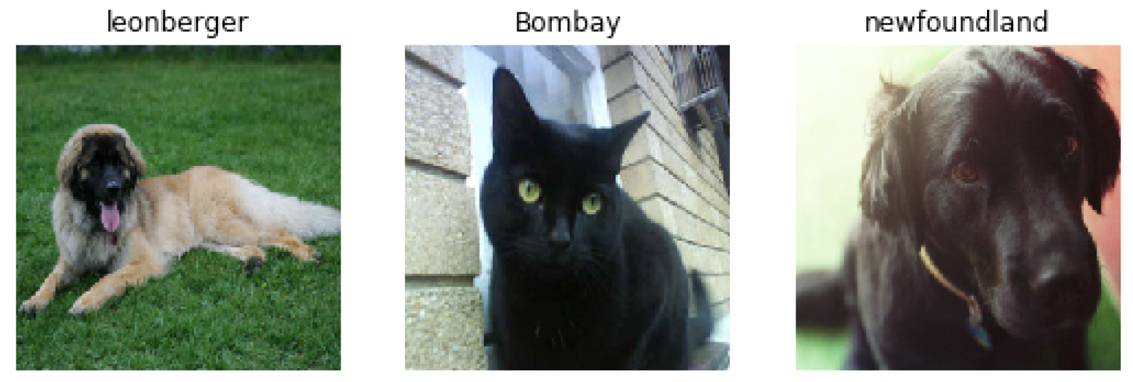 Information 11 00108 g002