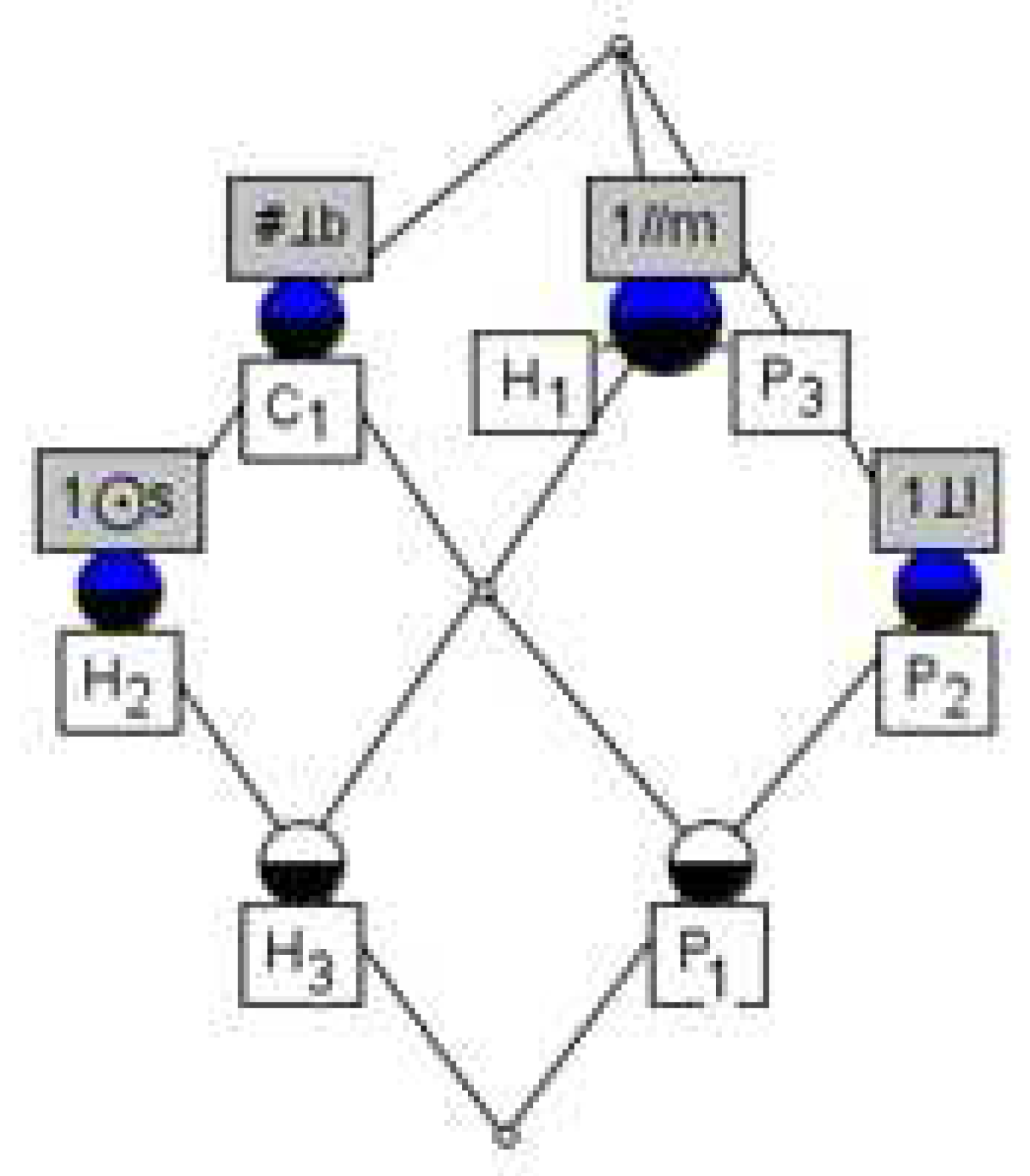 Information 11 00116 g013