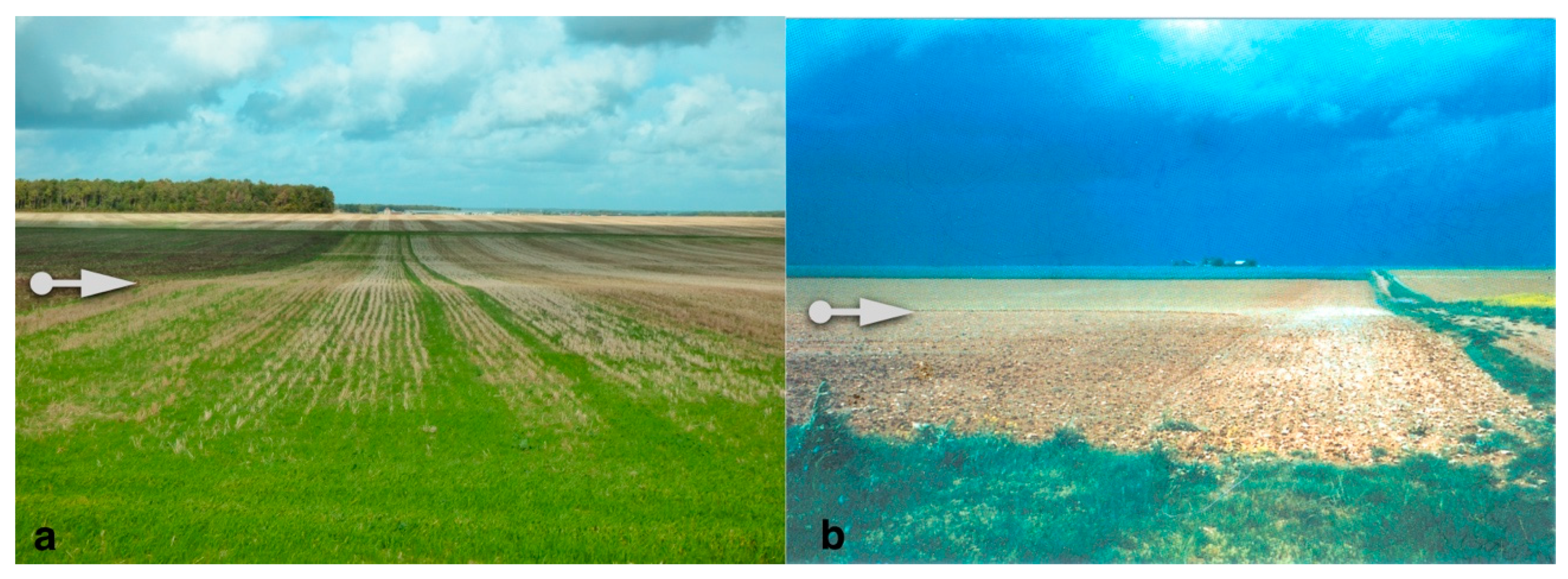 Information 11 00338 g009