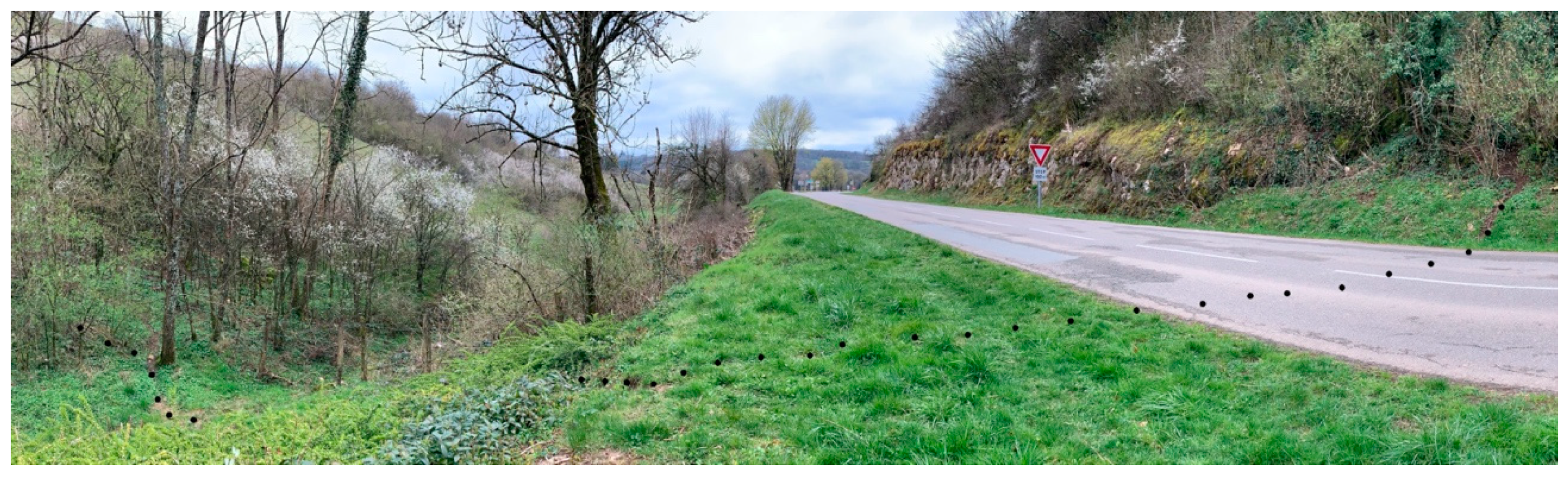 Information 11 00338 g013