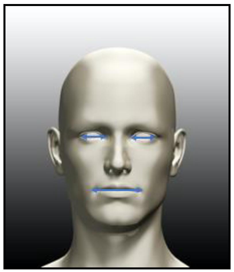 Information 11 00485 g006 Information 11 00485 g006