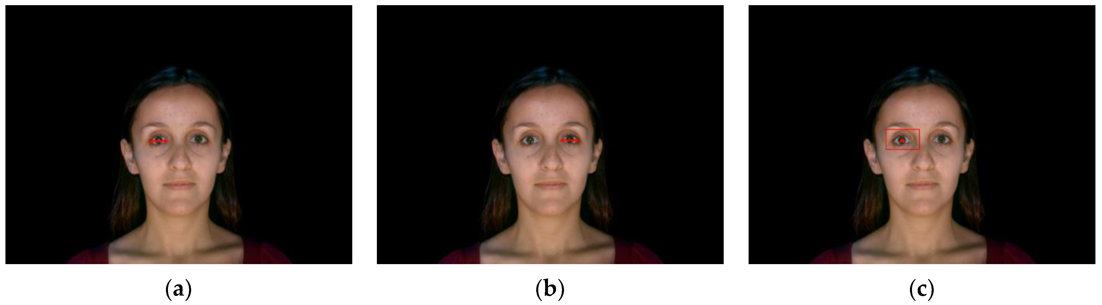 Information 11 00485 g013a Information 11 00485 g013a