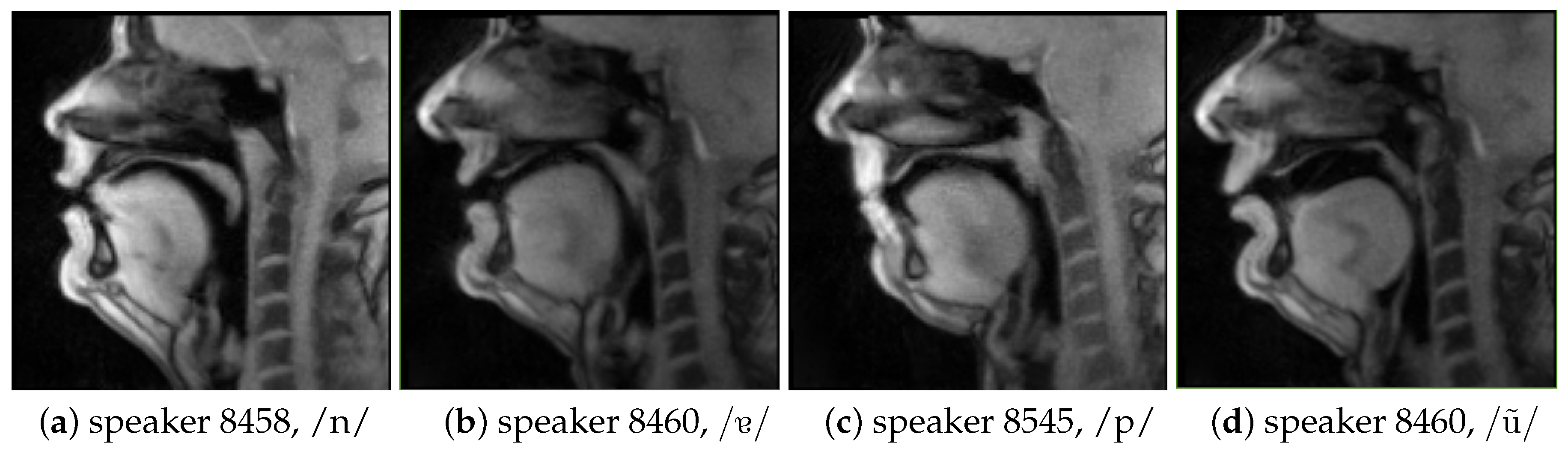 Information 11 00491 g002