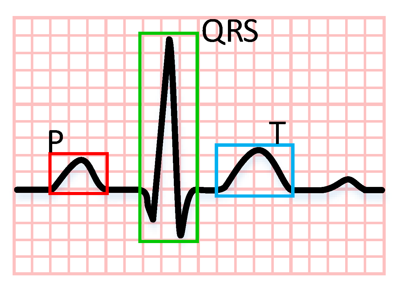 Information 11 00556 g001