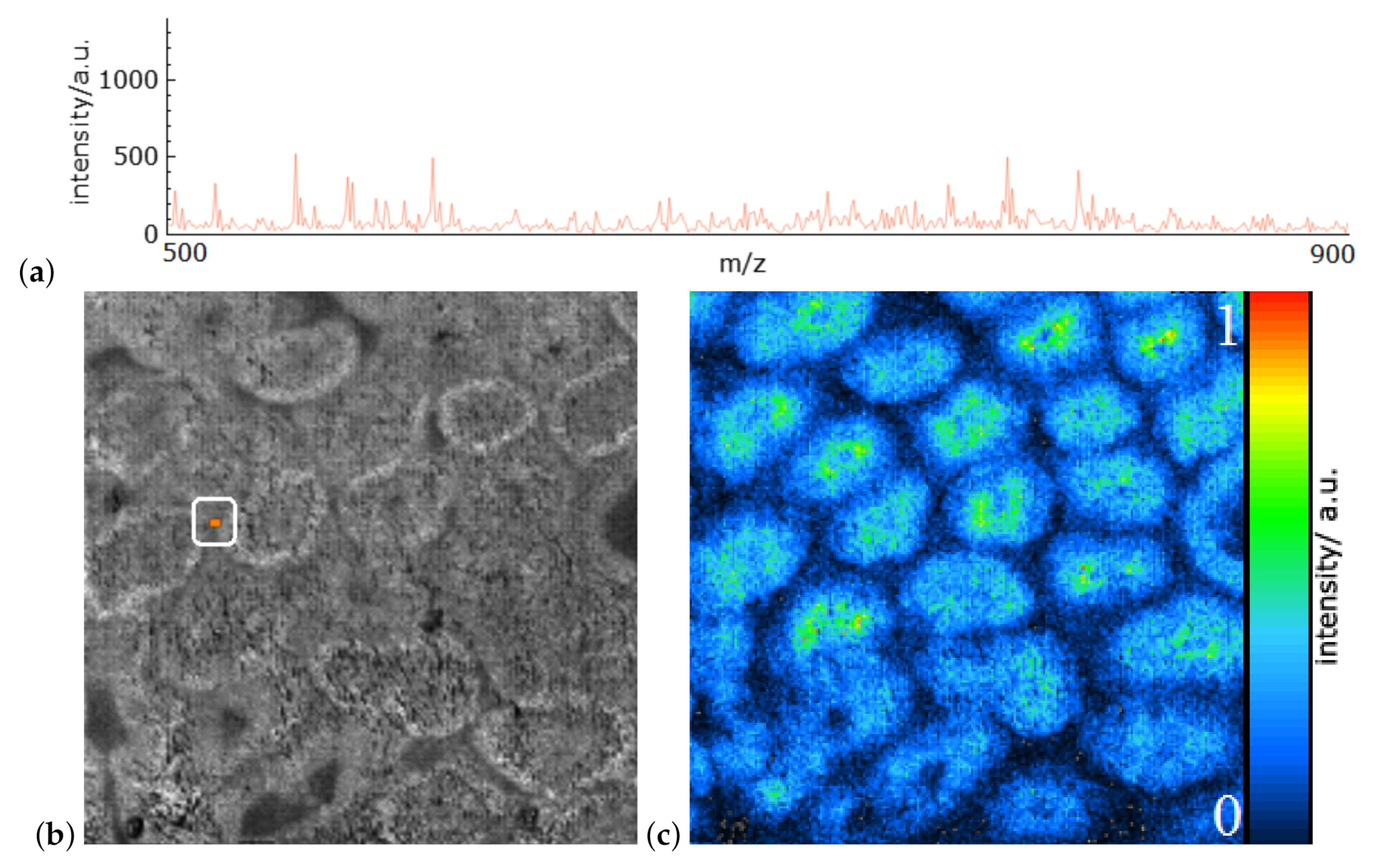 Information 11 00575 g001