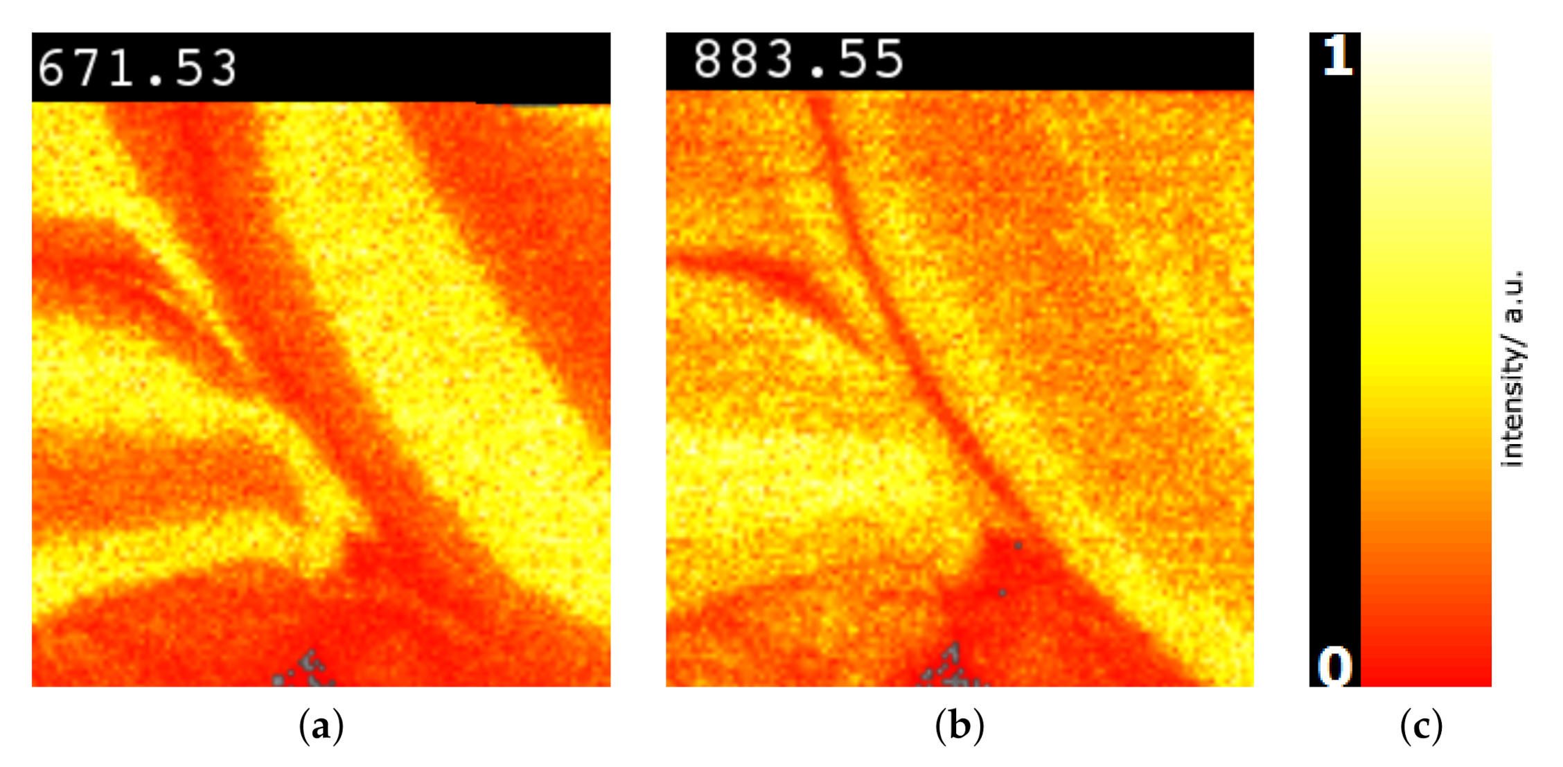 Information 11 00575 g010