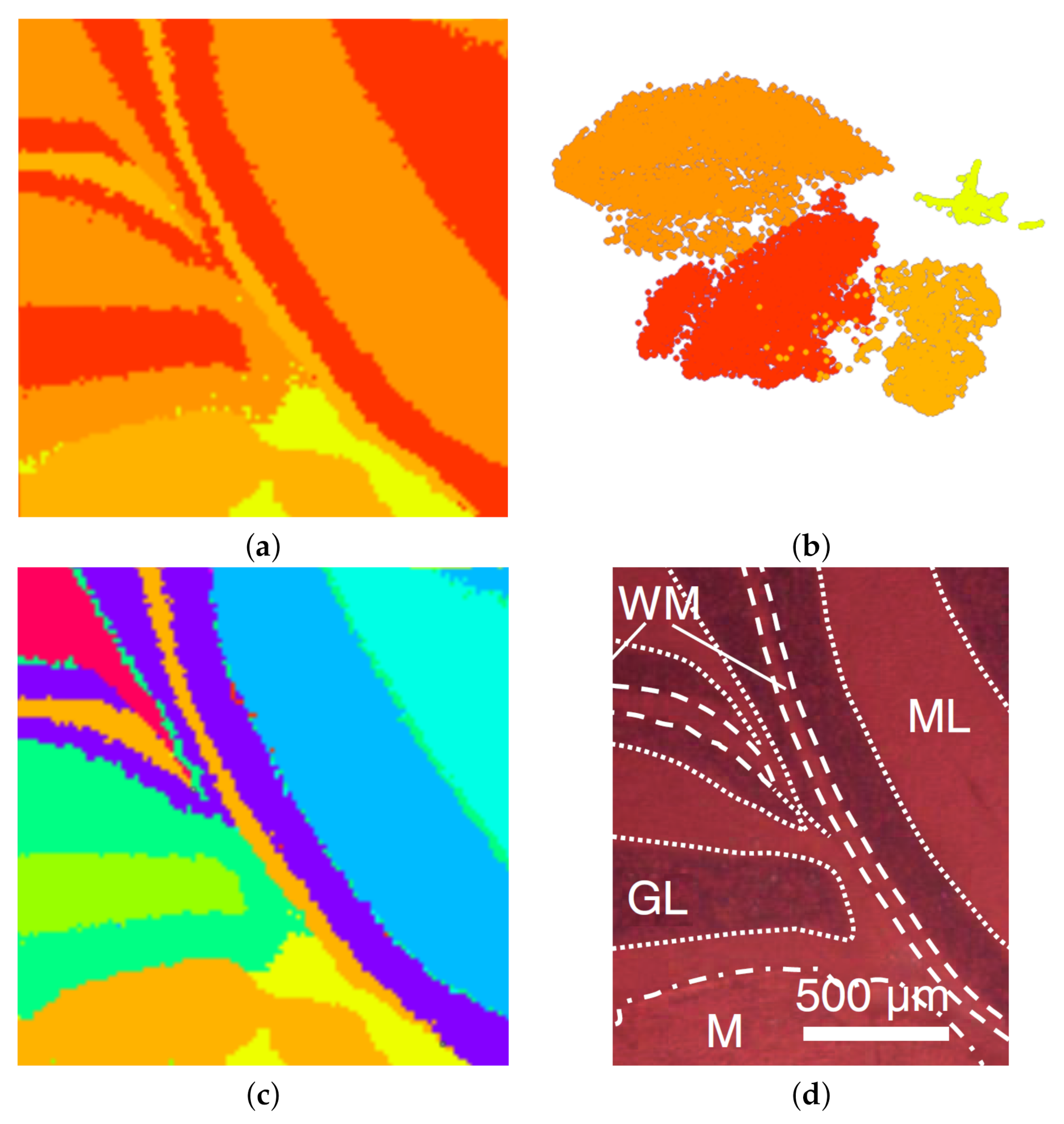 Information 11 00575 g011