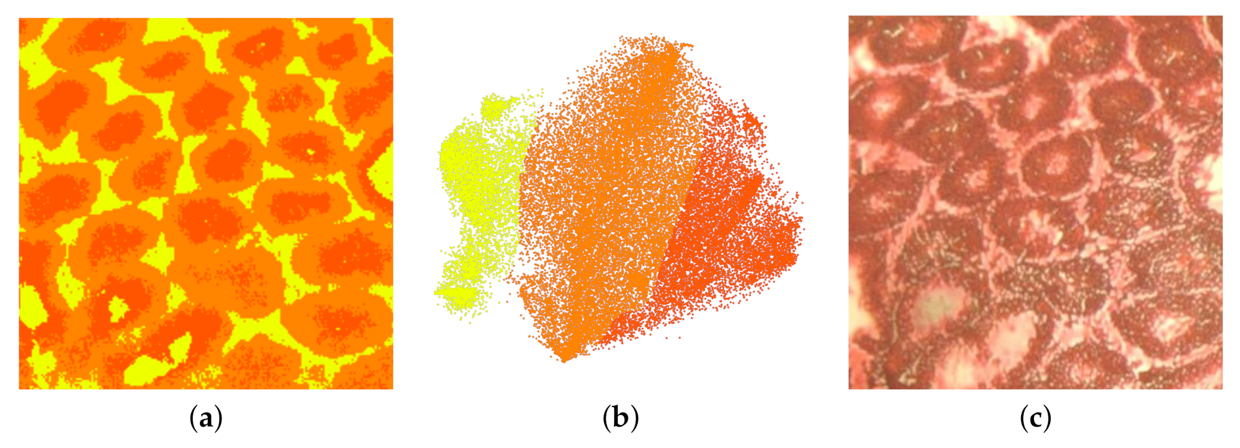 Information 11 00575 g016