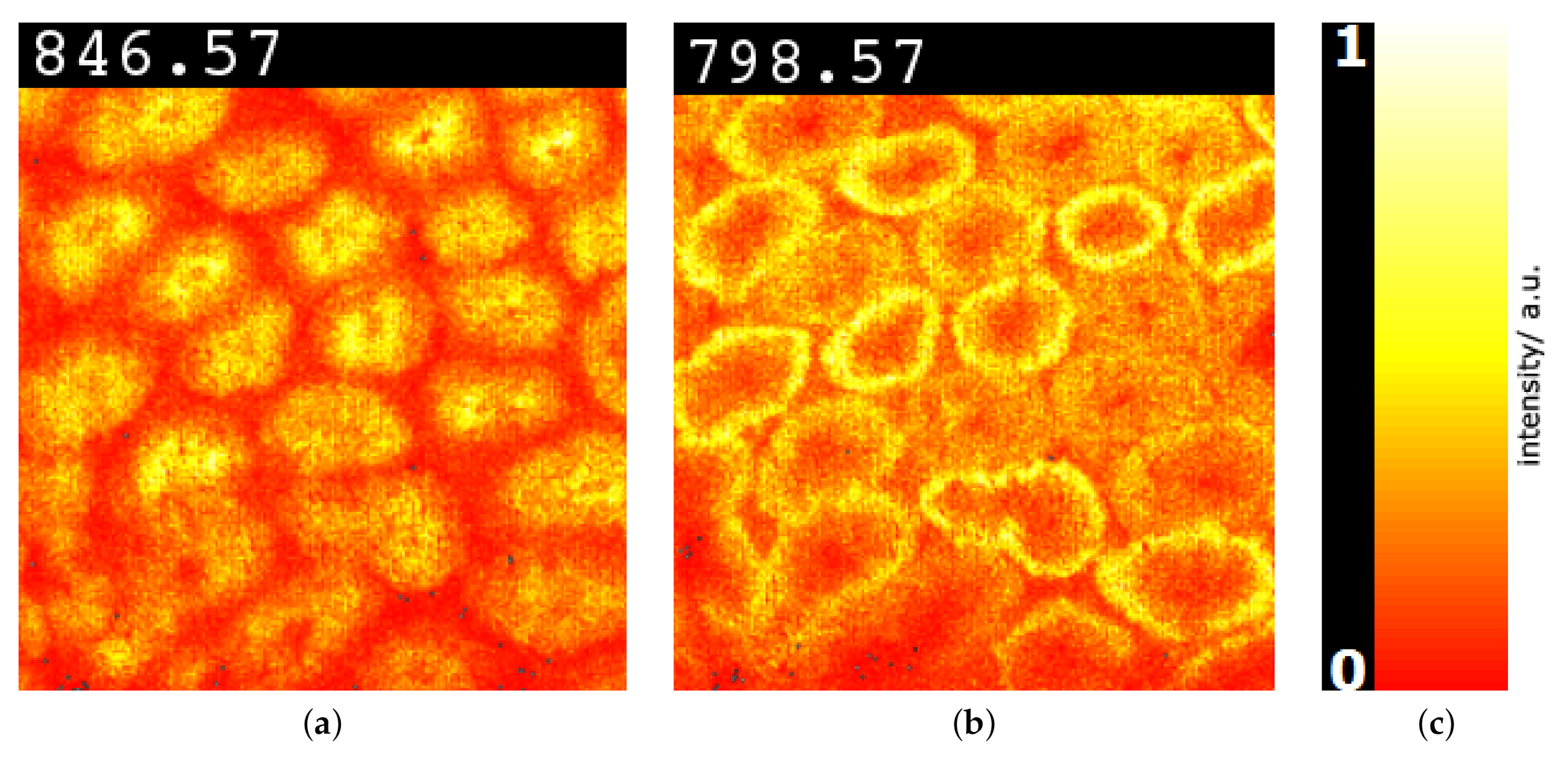 Information 11 00575 g019