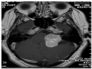 Information 12 00334 i002