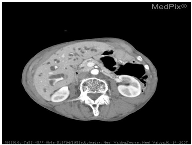 Information 12 00334 i003