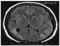 Information 12 00334 i004