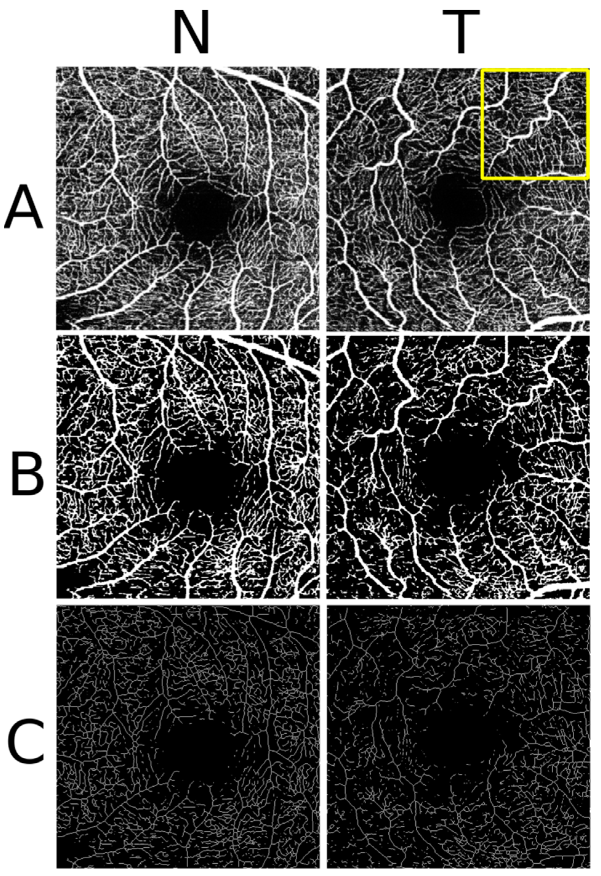 Information 12 00466 g001 Information 12 00466 g001