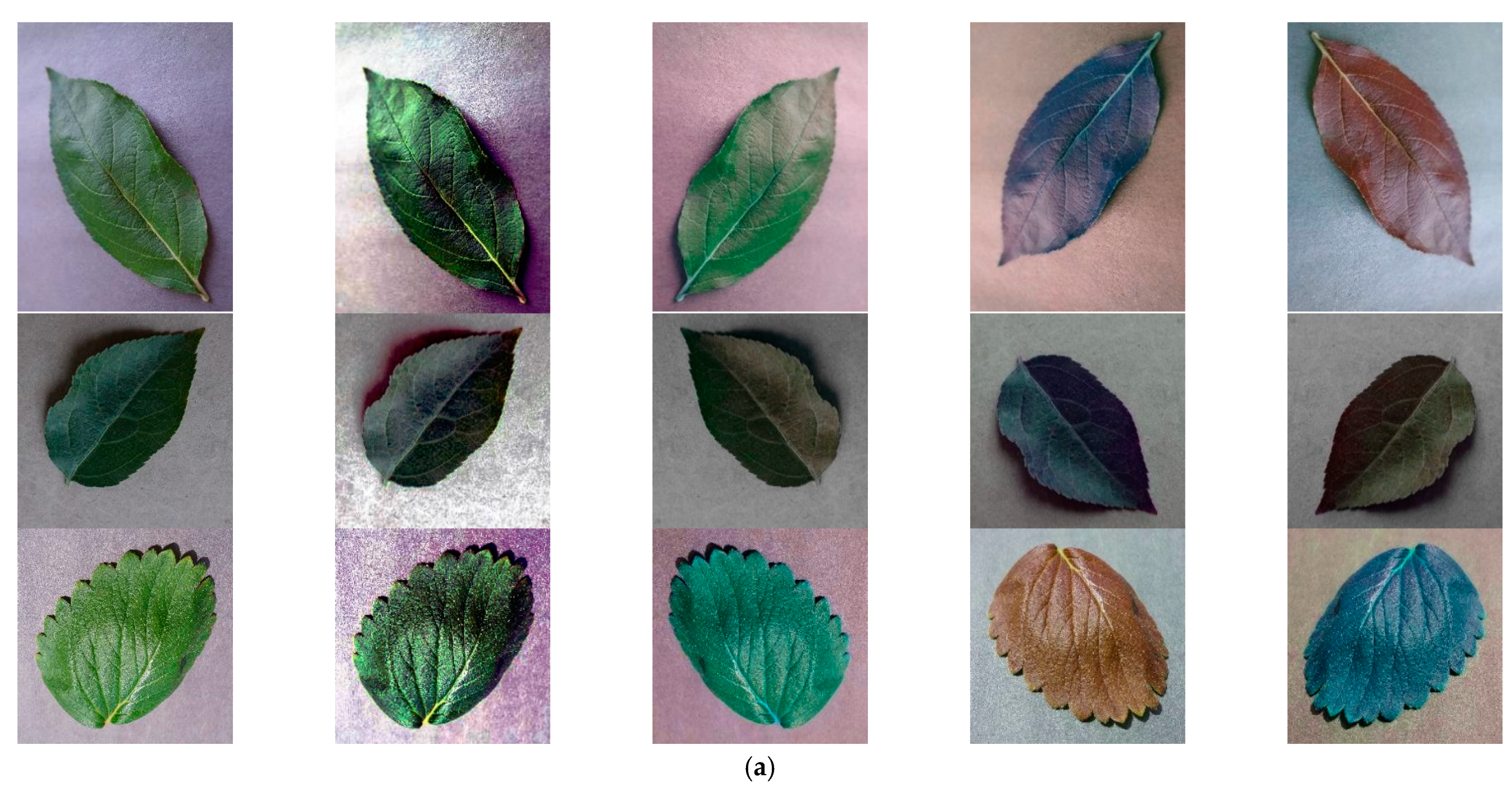 Information 12 00474 g008a