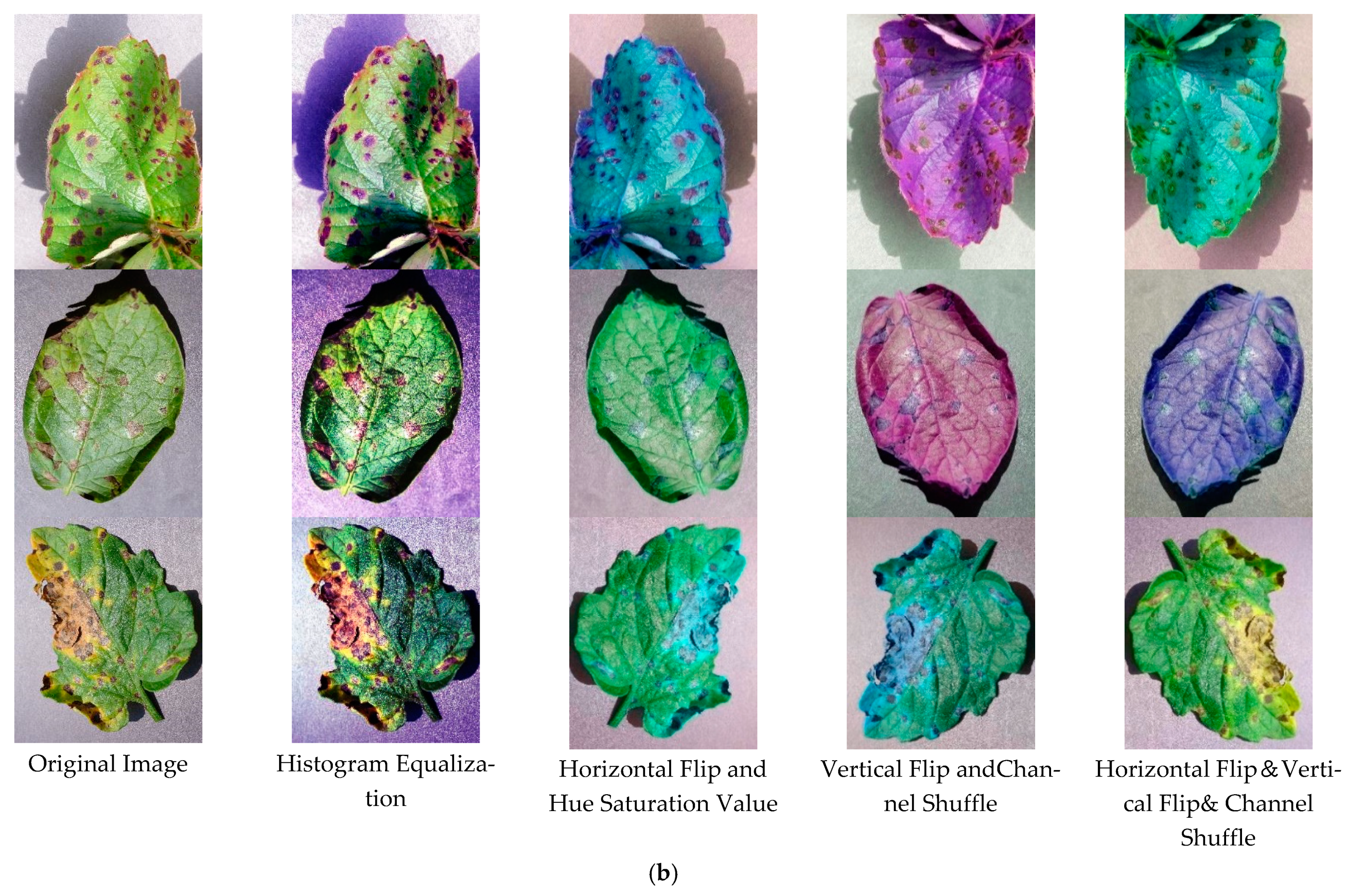 Information 12 00474 g008b