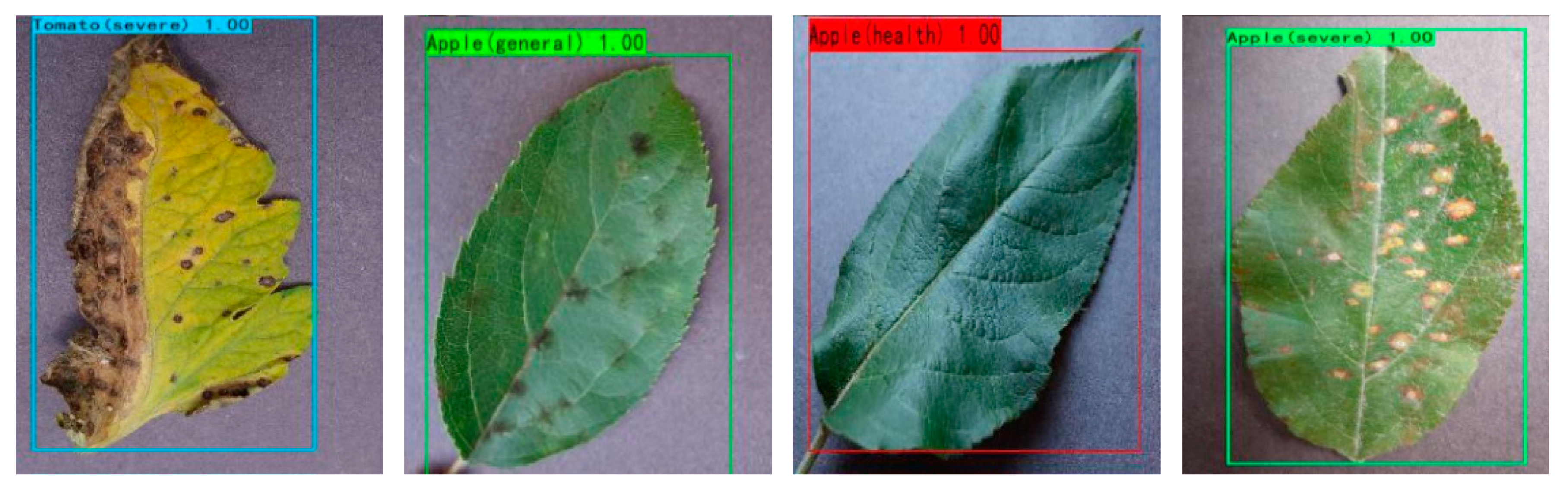 Information 12 00474 g016b