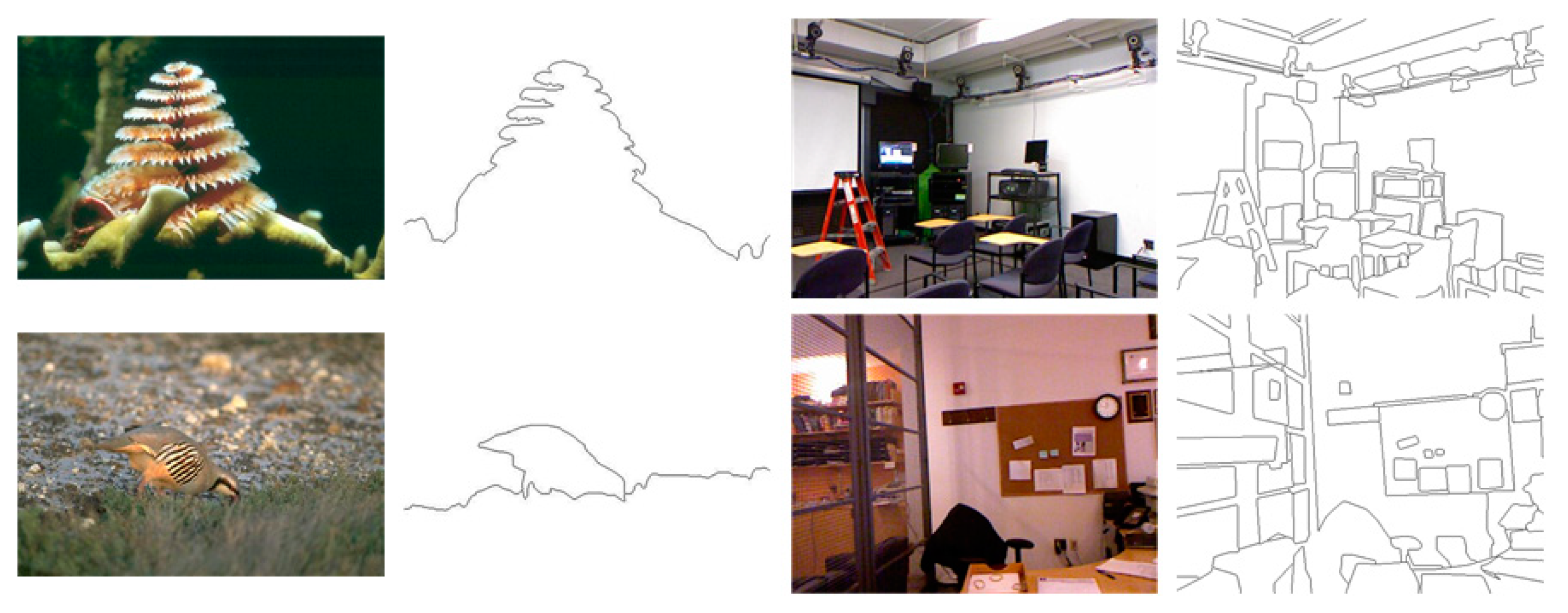 Information 13 00032 g007