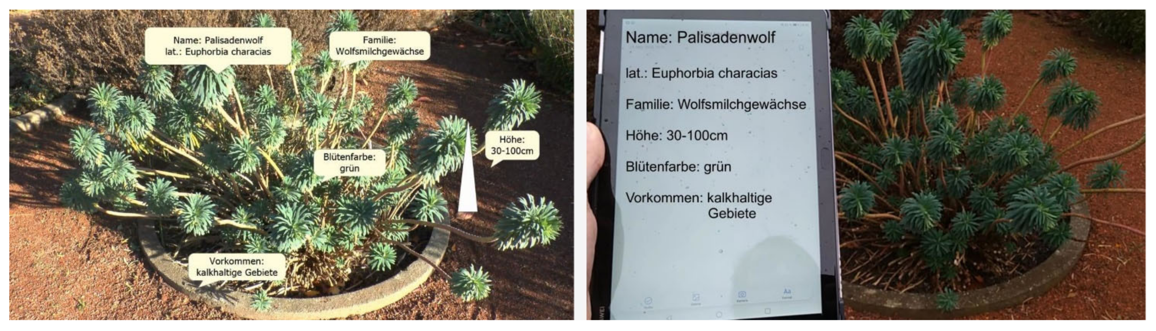 Information 13 00074 g001