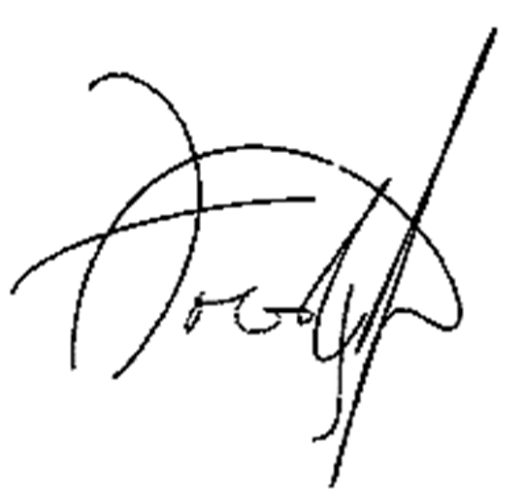 Information 13 00077 g004