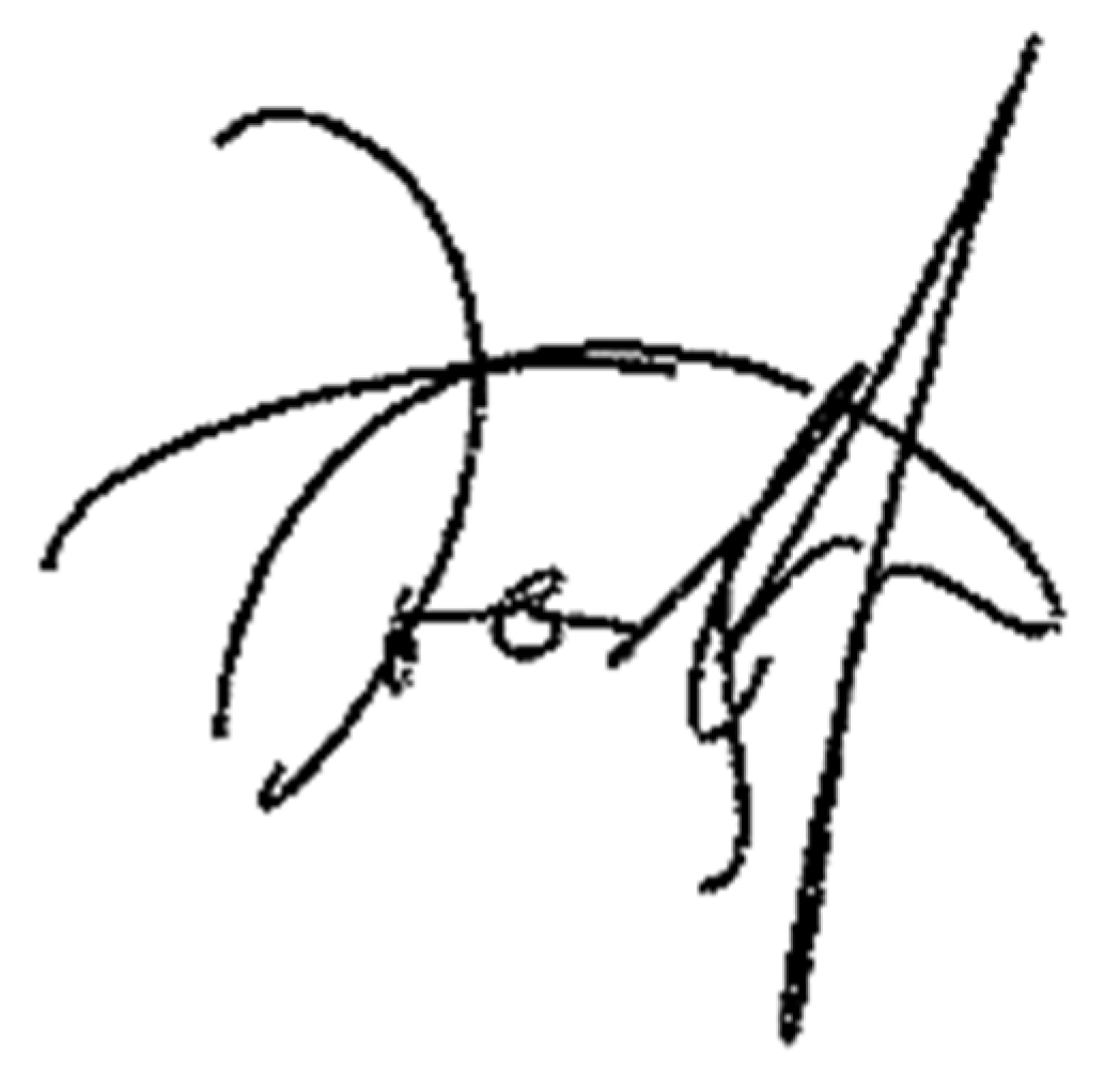 Information 13 00077 g005