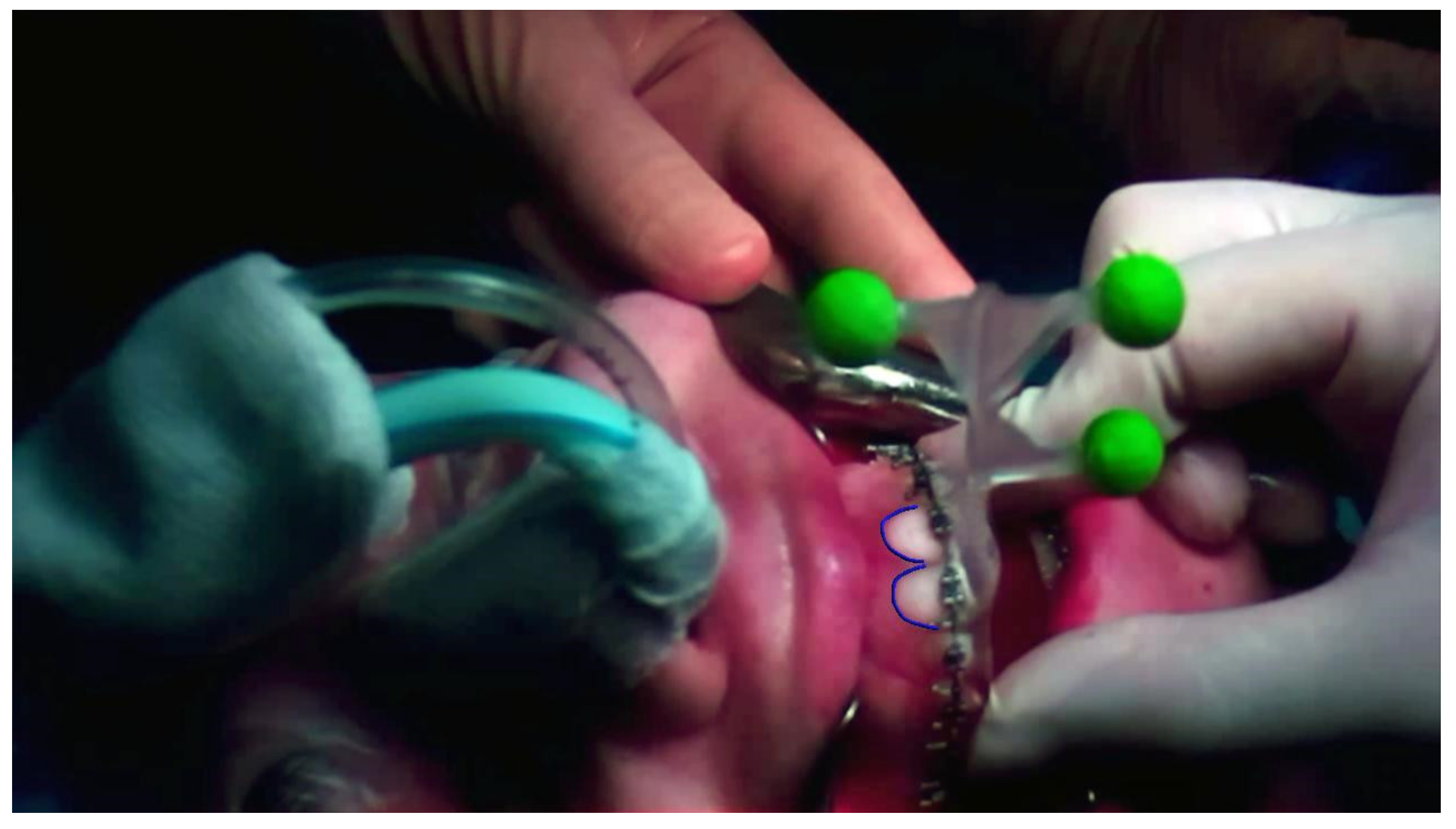 Information 13 00081 g005